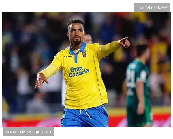 米兰平台拉斯帕尔马斯赞助商合作方案及未来发展趋势探讨